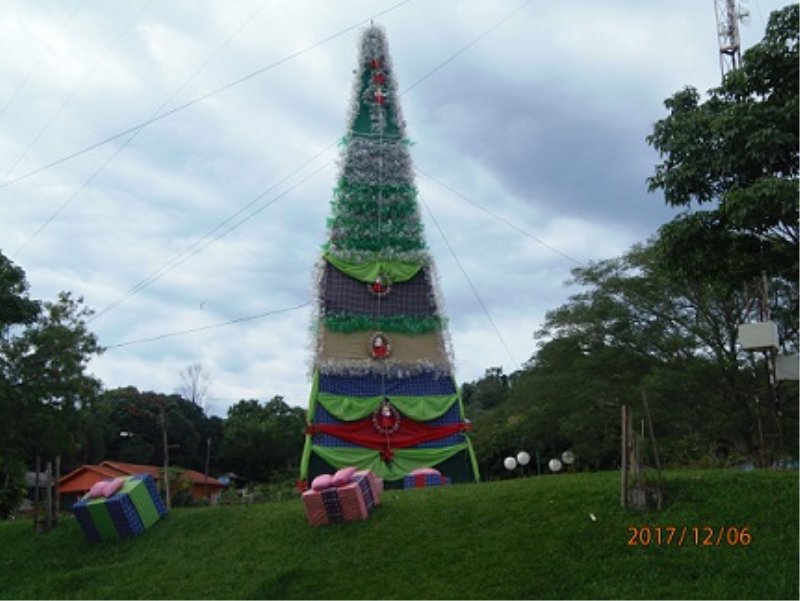 Projeto a Beleza Vem do Lixo